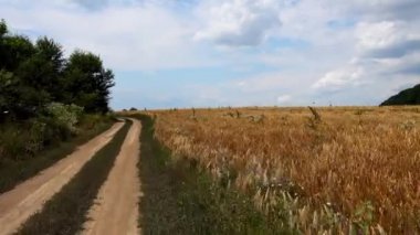 Araba penceresinden bir ülke yol görünümünde sürüş. Arabadan kırsal dolambaçlı toprak yol görünümü. 