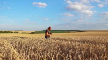Buğday tarlasında genç bir erkek çiftçi. Agronomist buğday hasadına bakıyor. 