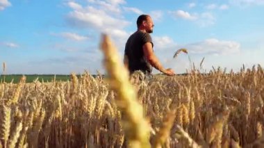 Buğday tarlasında genç bir erkek çiftçi. Agronomist buğday hasadına bakıyor. 
