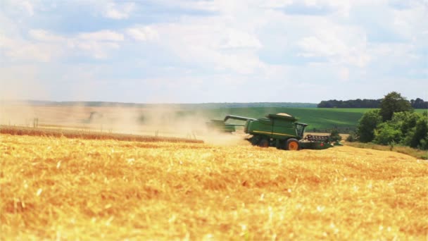 Липня 2019 Україна Вінниця Зернозбиральні Комбайни John Deere Комбінат Збирання — стокове відео