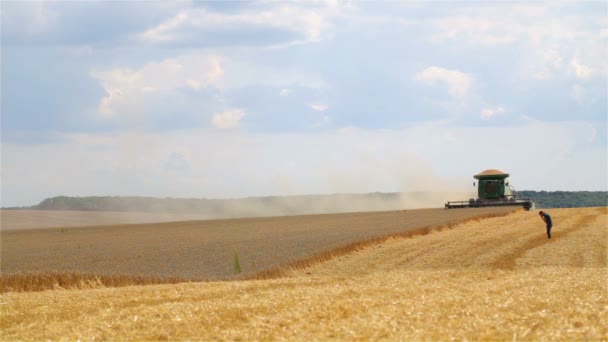 Července 2019 Ukrajina Vinnica Sklízecí Komizátor John Deere Kombinace Sklizně — Stock video