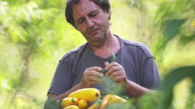Bir sepet taze sebzeyle erkek çiftçi. Bir adam taze sebze, domates, havuç, salatalık yer.. 