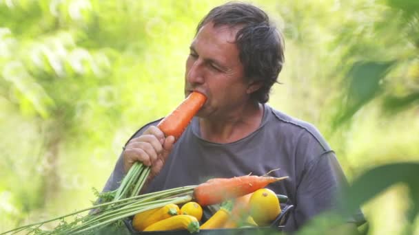 新鮮な野菜のバスケットを持つ男性農家 男は新鮮な野菜 トマト ニンジン キュウリを食べる — ストック動画