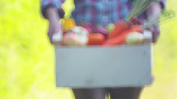 Les Mains Fille Tient Une Boîte Avec Des Légumes Frais — Video