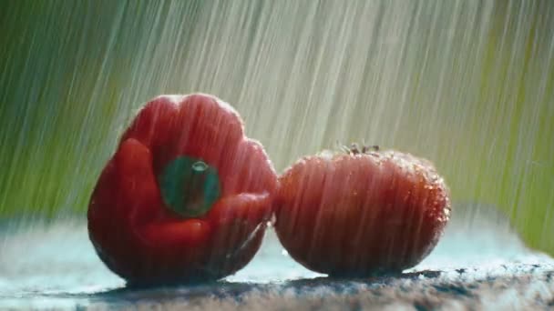 Composición Sobre Mesa Pimiento Tomate Bajo Gotas Lluvia — Vídeos de Stock