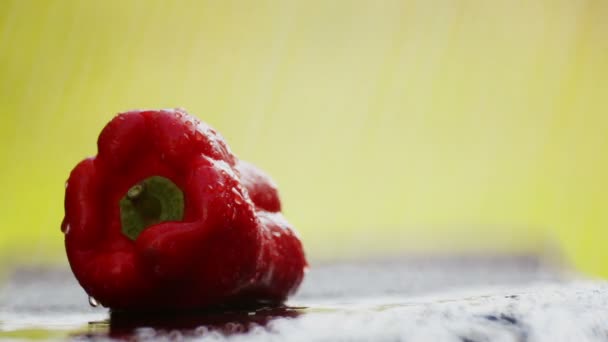 Composition Red Fresh Pepper Nature Rain Red Pepper Table Drops — Stock Video