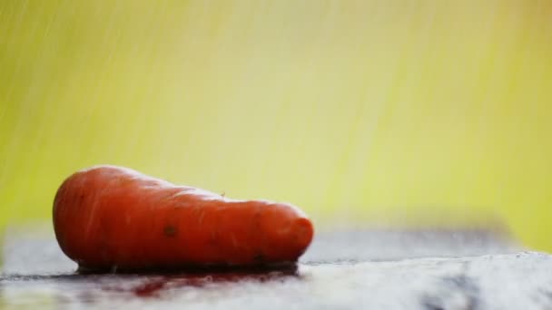 Композиція Морквою Столі Під Дощем Морква Столі Під Краплями Води — стокове відео