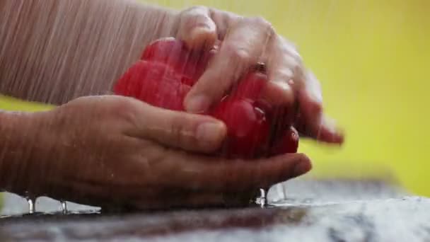 Mãos Femininas Lavam Pimentão Abaixo Uma Corrente Água — Vídeo de Stock