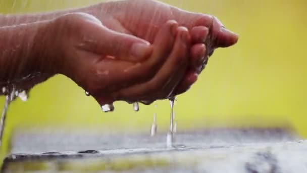 Las Manos Femeninas Bajo Chorro Agua Chica Lava Las Manos — Vídeos de Stock