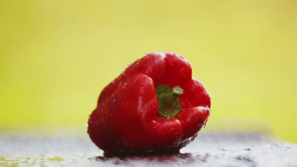 在雨中自然中红鲜辣椒的组成 水滴下桌上的红辣椒 — 图库视频影像