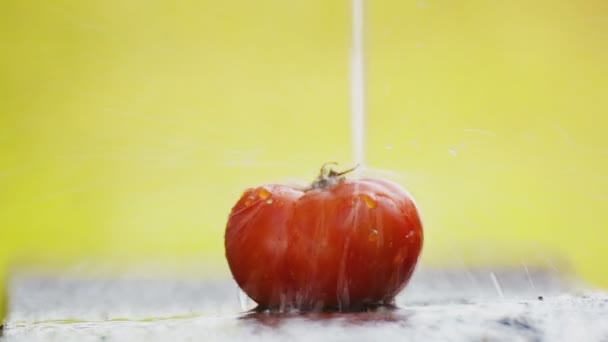 Tomate Fresco Vermelho Sob Água Corrente — Vídeo de Stock