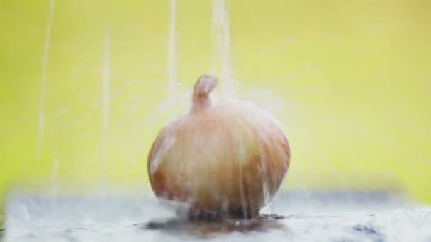 Κεφάλι Κρεμμύδι Ένα Τραπέζι Κάτω Από Ένα Ρυάκι Νερού — Αρχείο Βίντεο