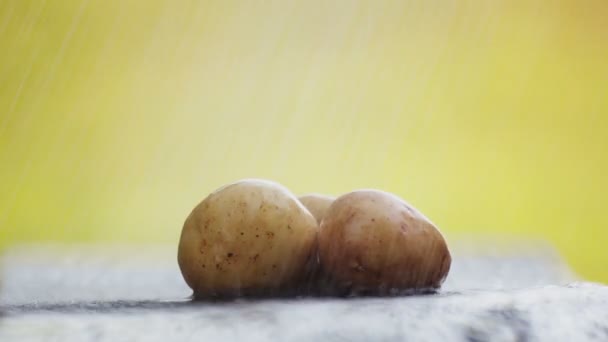 Batatas Frescas Cima Mesa Debaixo Água Corrente — Vídeo de Stock