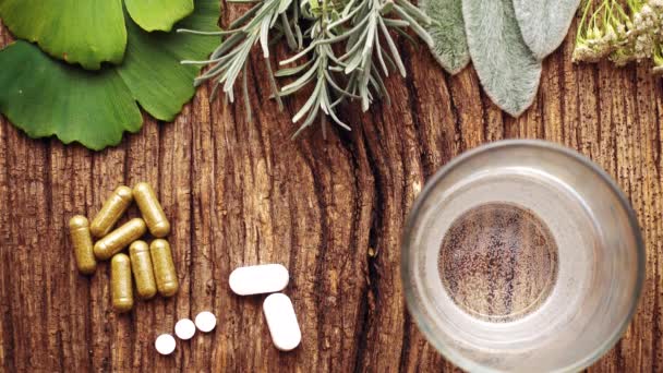Medical Composition Pills Made Natural Herbs Natural Tablets Ginkgo Biloba — Stock Video