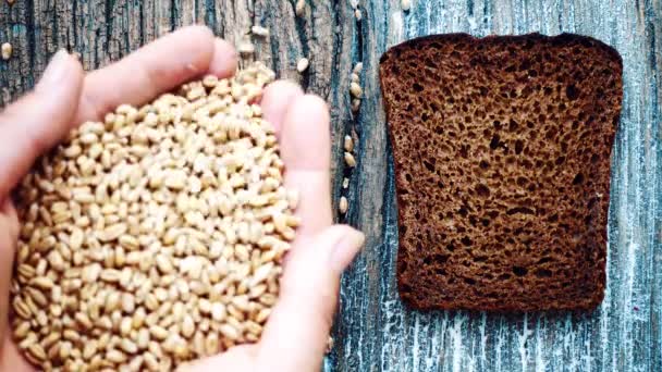 Composición Del Pan Sobre Mesa Con Grano Harina Pan Grano — Vídeos de Stock