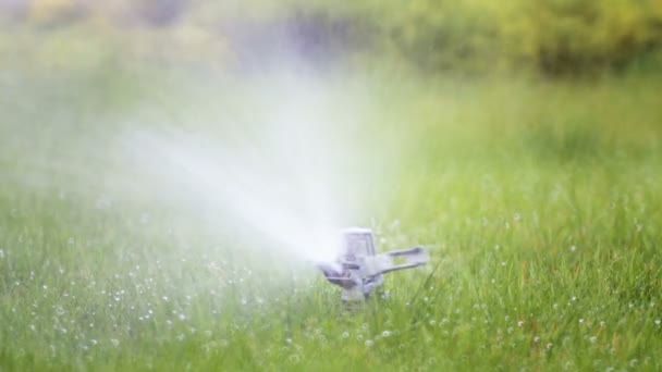 Gazonsproeier Water Het Gras Het Park Drenken Van Het Gazon — Stockvideo