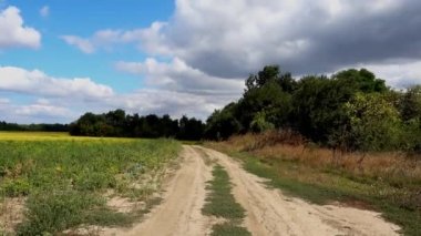 Rustik bir toprak yolda trafik. Kırsal eski terk edilmiş yol. 