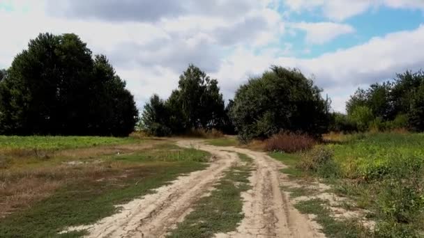Tráfego Numa Estrada Terra Rústica Estrada Rural Abandonada — Vídeo de Stock