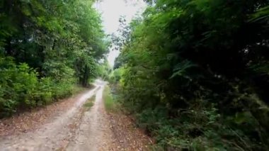 Rustik bir toprak yolda trafik. Kırsal eski terk edilmiş yol. 