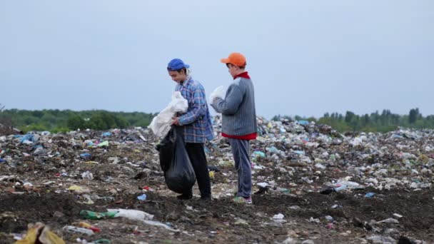 无家可归的男孩在垃圾填埋场里收集食物和东西 两个在城市垃圾堆里无家可归的青少年 — 图库视频影像