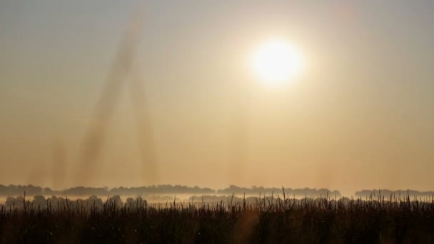 Amanecer Sobre Los Campos Con Niebla Campo Bosque Niebla Amanecer — Vídeos de Stock
