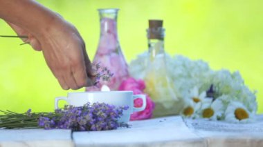 Dişi eller yağ için lavanta çiçeği toplar. Lavanta yağı ve özü hazırlama. 