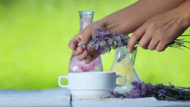 女性の手はオイルのためのラベンダーの花を集める ラベンダー油とエッセンスの調製 — ストック動画