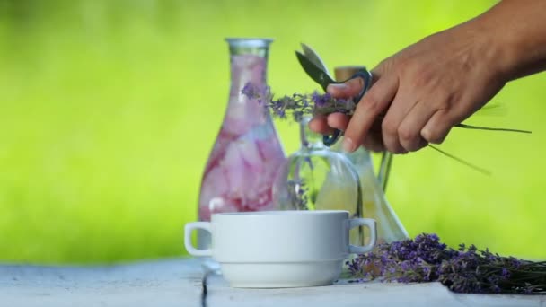 女性の手はオイルのためのラベンダーの花を集める ラベンダー油とエッセンスの調製 — ストック動画