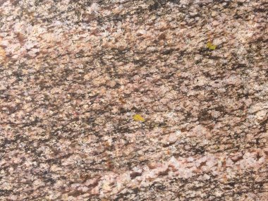 doku taş, taş doku, rock