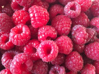 Taze ve tatlı kırmızı ahududu arka plan doku. Ahududu meyve arka plan kazık. Taze çekilmiş olgun organik ahududu arka plan seçimi. Lezzetli birinci sınıf ahududu arka plan yığın