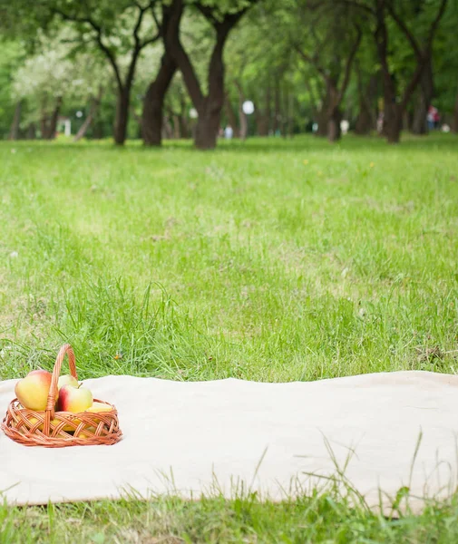 Picnic in the park. A green meadow with grass, a plaid and apples in a basket. Romantic dinner in nature. Free space for text. Background