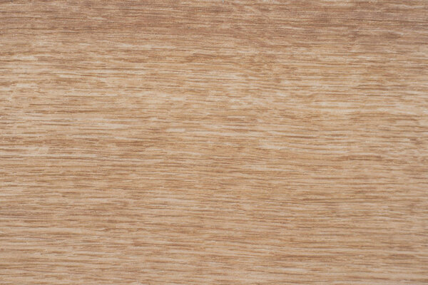 Текстура дерева. Деревянная текстура для дизайна и декора