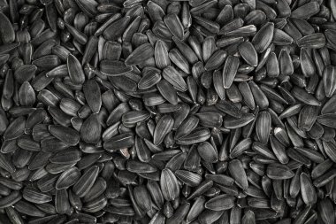Siyah Ayçiçeği tohumları. Üstten Görünüm. Ayçiçeği tohumu arka plan