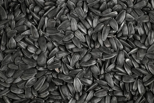 Semi di girasole nero. Vista dall'alto. Sfondo semi di girasole — Foto Stock