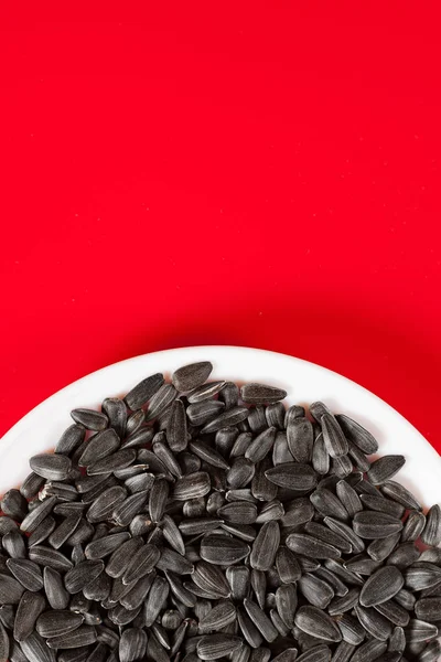 Semi di girasole nero su un backgroun rosso — Foto Stock