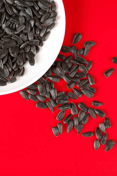 Black sunflower seeds on a red background. Top view