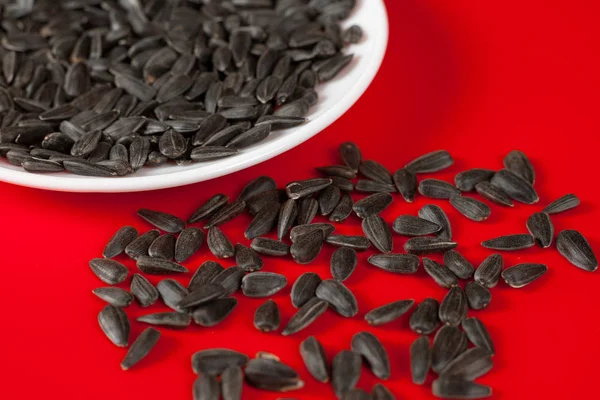 Black sunflower seeds on a red background. Top view