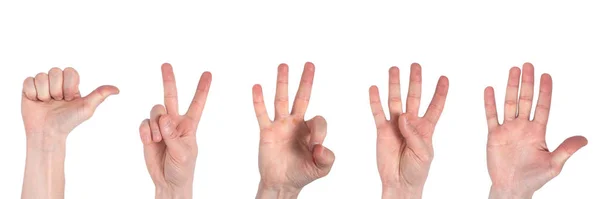 Mannelijke handen tellen van één tot vijf geïsoleerd op een witte pagina — Stockfoto