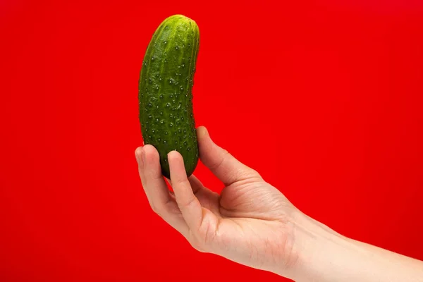 Kırmızı arka planda izole el olgun sulu lezzetli salatalık