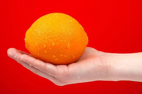 Reife saftige köstliche Orange in der Hand isoliert auf rotem Hintergrund. — Stockfoto