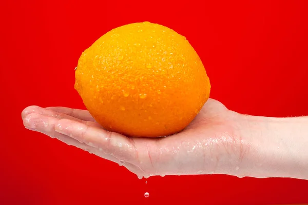 Mogen saftig läcker apelsin i hand isolerad på röd bakgrund. — Stockfoto
