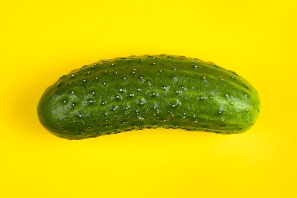 Fresh cucumber isolated on yellow background — Stock Photo, Image