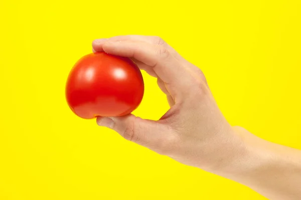 Um homem cozinhar mão segurando um tomate vermelho fresco colorido, isolado em — Fotografia de Stock