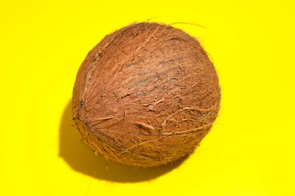 Dojrzałe kokosowe na żółtym tle. Koncepcja tropikalna — Zdjęcie stockowe
