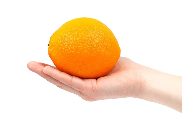Рука держит органический апельсин Изолированный на белом Backgrou — стоковое фото