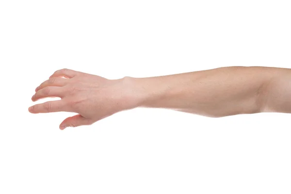 흰색 배경에 고립 된 편안한 남성 손바닥 — 스톡 사진