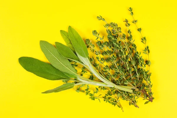 Collection of fresh herbs for cooking isolated on yellow backgro