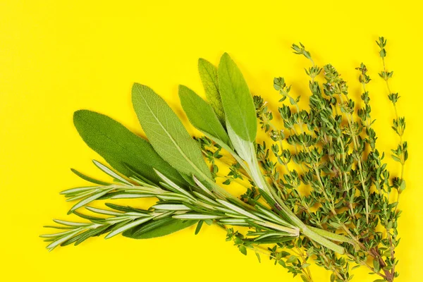Collection of fresh herbs for cooking isolated on yellow backgro