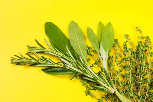 Collection of fresh herbs for cooking isolated on yellow backgro