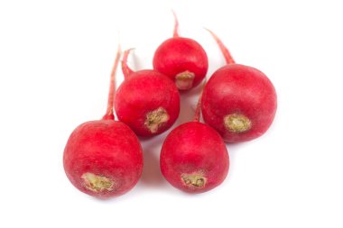 Beyaz arka planda izole taze turp. Yakın çekim